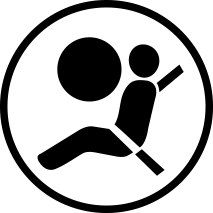 airbag compatible icon