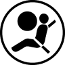 airbag compatible icon