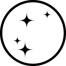 premium appearance icon