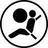airbag compatible icon