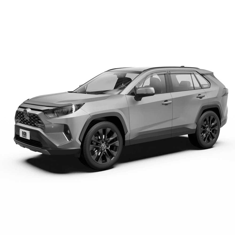 Toyota RAV4 2019-2023 - EGR Protection Pack product image 0