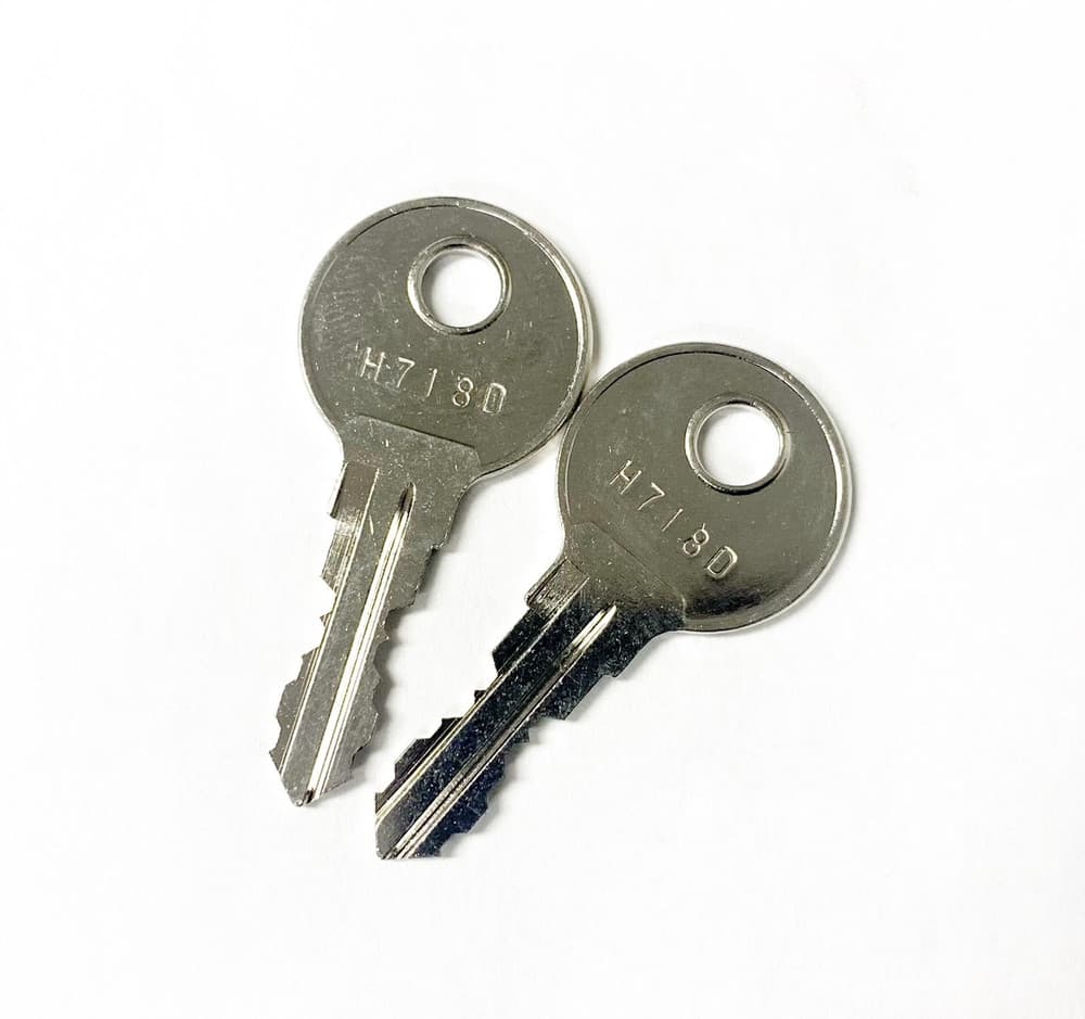 Pair of EGR replacement canopy keys, showing matching metal keys for EGR canopy lock barrels