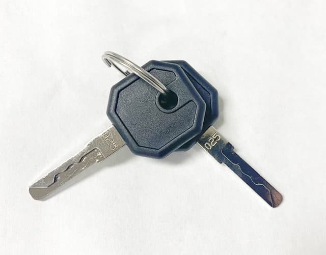 Pair of genuine EGR canopy replacement keys, showing two matching keys designed for EGR canopy lock barrels